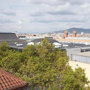 - Corcega Barcelona